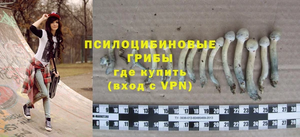 2c-b Беломорск