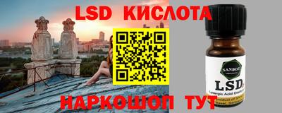 прущие грибы Первоуральск