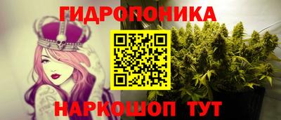прущие грибы Первоуральск