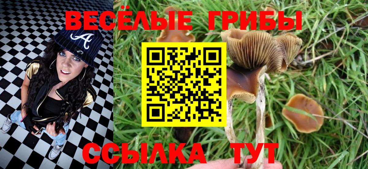 Псилоцибиновые грибы мухоморы  Вход с VPN  Сегежа 
