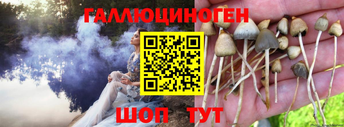 Псилоцибиновые грибы ЛСД Сегежа