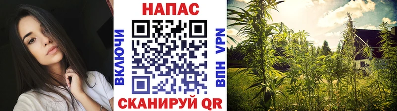 наркошоп  МЕГА сайт  Канабис VHQ  Сегежа 